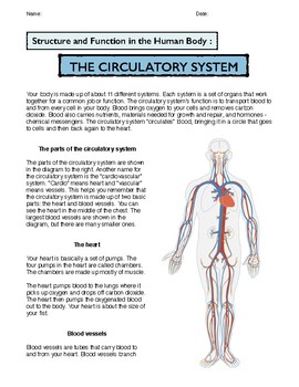Preview of The Circulatory System: Structure and Function