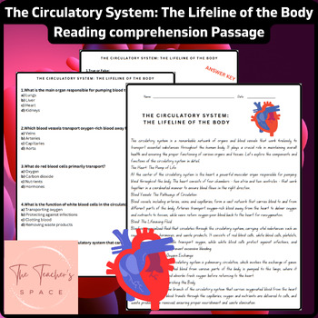 Preview of The Circulatory System: The Lifeline of the Body Reading Comprehension Passage