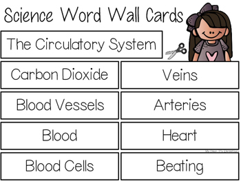 Preview of The Circulatory System {WORD WALL}