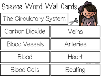 system circulatory word wall dear elementary