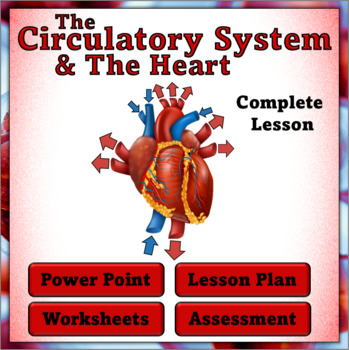 Preview of The Circulatory System and The Heart - Complete Lesson, PPT, Printables and Quiz
