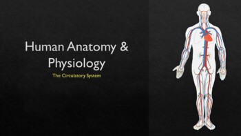 Preview of The Circulatory System the Complete Lesson Bundle (Powerpoint and Assessments)