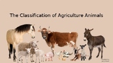 The Classification Agriculture Animals