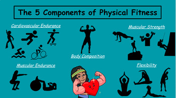 Preview of The Components of Physical Fitness