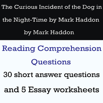 the curious incident essay questions