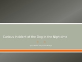 The Curious Incident of the Dog in the Night-time JOURNALPROMPTS