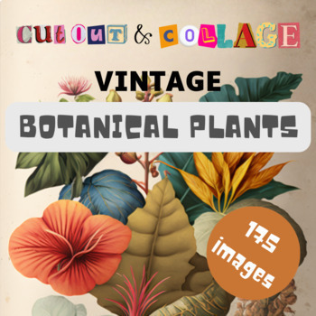 The Cut Out And Collage Book Vintage Botanical Plants: 150 High