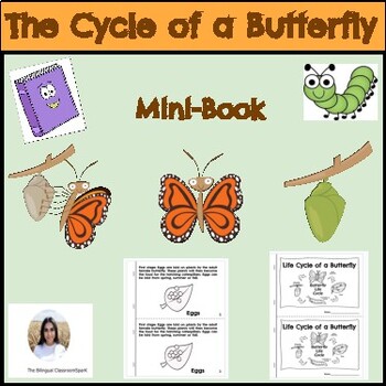 Preview of The Cycle of a Butterfly Mini-Book