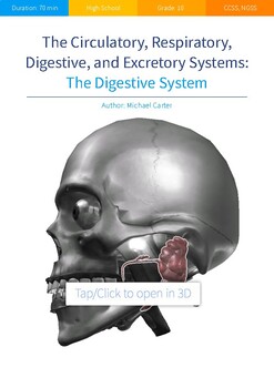 Preview of The Digestive System