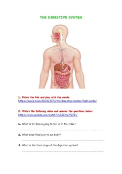 Preview of The Digestive System