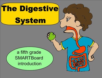 Preview of The Digestive System - A Fifth Grade SMARTBoard Introduction