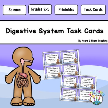 Preview of The Digestive System Activities: Task Cards {Set of 16 Cards}