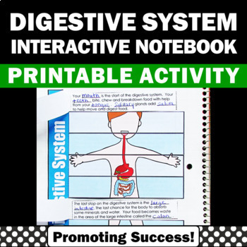 Preview of Digestive System 5th Grade Science Interactive Notebook Human Body Activities