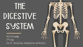Preview of The Digestive System - CKLA Knowledge: Unit 10