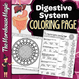 The Digestive System Color By Number | Science Color By Number