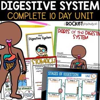 Preview of The Digestive System Complete Unit | Digestive System Worksheets and Assessment