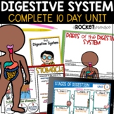 The Digestive System Complete Unit | Digestive System Work