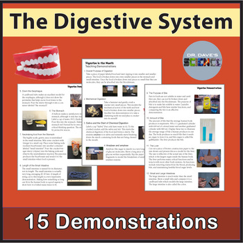 Preview of The Digestive System Demonstrations Activities Mouth Stomach Intestines