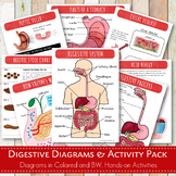 The Digestive System Diagrams and Activity Pack