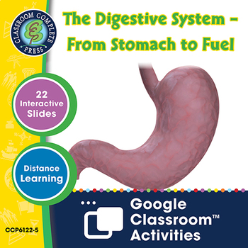 Preview of The Digestive System – From Stomach to Fuel - Google Slides Gr. 5-8