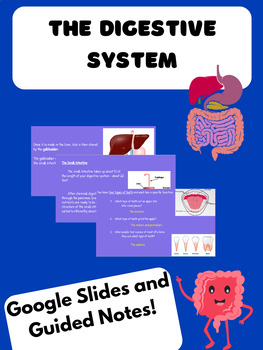 Preview of The Digestive System - Google Slides and Guided Notes - Middle School Science