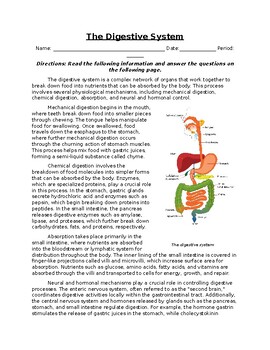 Preview of The Digestive System: Informational Text, Images, and Assessment