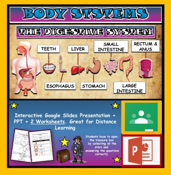 Preview of The Digestive System: Interactive Google Slides + PPT + 2 worksheets
