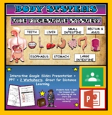 The Digestive System: Interactive Google Slides + PPT + 2 