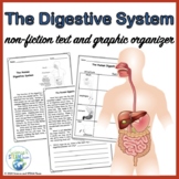 The Digestive System Internal Structures of Humans