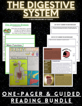Preview of The Digestive System One-Pager + Guided Reading Activity Bundle