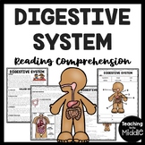 The Digestive System Overview Reading Comprehension and Di