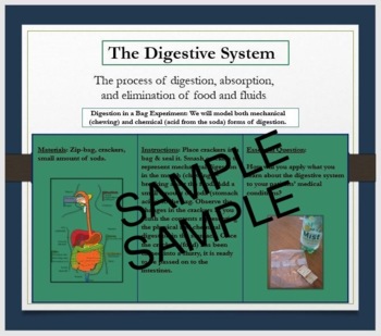 Preview of Digestive System Power Point - Includes Project Instructions and Rubric