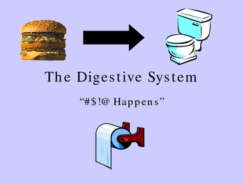 Preview of The Digestive System Ppt