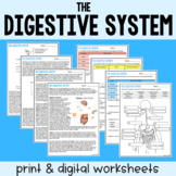The Digestive System - Reading Comprehension Worksheets