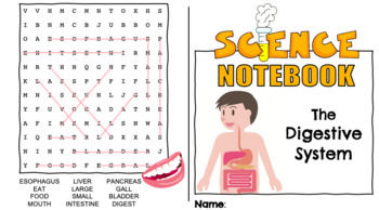 Preview of The Digestive System Science Notebook