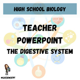 The Digestive System Teacher Powerpoint