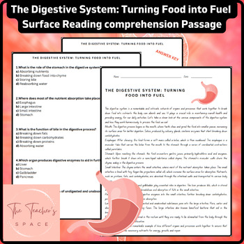 Preview of The Digestive System: Turning Food into Fuel Reading Comprehension Passage