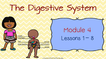 Preview of The Digestive System PowerPoint Presentation (Grade 2, Module 4 Lessons 1 - 8)