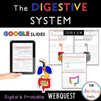 Preview of The Digestive System WebQuest | Worksheet & Activity | Digital | Printable