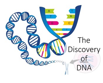 Preview of The Discovery of DNA