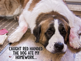 The Dog Ate My Homework - St. Bernard - Funny - Silly - Cl