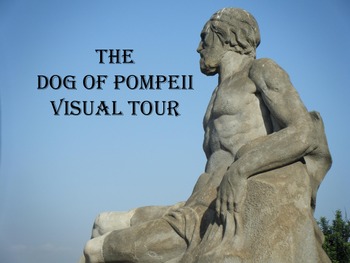 what is the plot of the dog of pompeii