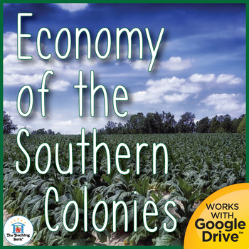 Preview of The Economy of the Southern Colonies United States History Unit