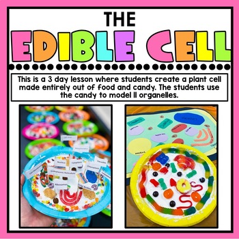 Animal Cell - CakeCentral.com