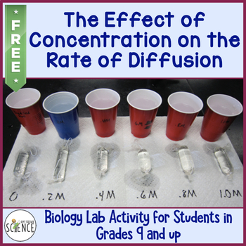 Preview of FREE Osmosis Diffusion Lab - Effect of Concentration on the Rate of Diffusion