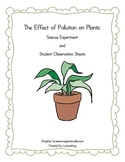 The Effect of Pollution on Plants Experiment