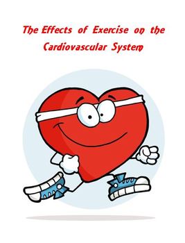 Preview of Cardiovascular System ~ The Effects of Exercise Lab Activity