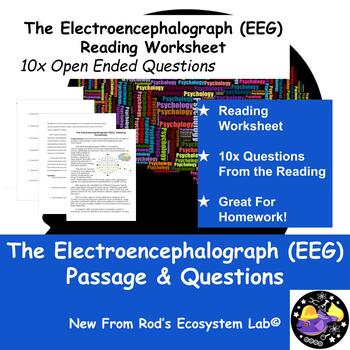 Preview of The Electroencephalograph (EEG) Reading Worksheet **Editable**