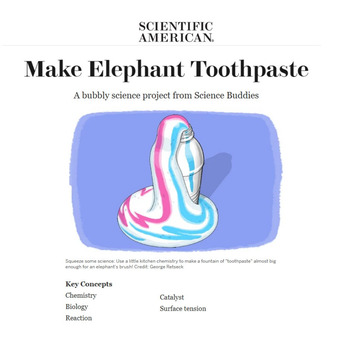 The Elephant Toothpaste - Scientific American Lab Activity - pdf format