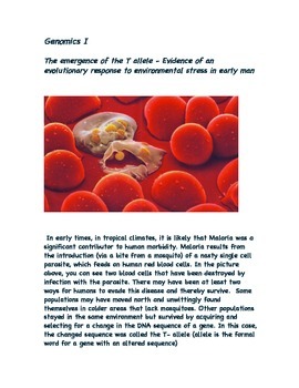 Preview of The Emergence  of the  T-Allele  and Sickle Cell Anemia